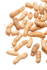 amendoim com casca no fundo branco