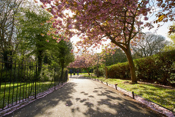 St Stephen's Green park, in Dublin, Ireland