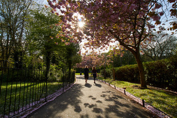 St Stephen's Green park, in Dublin, Ireland