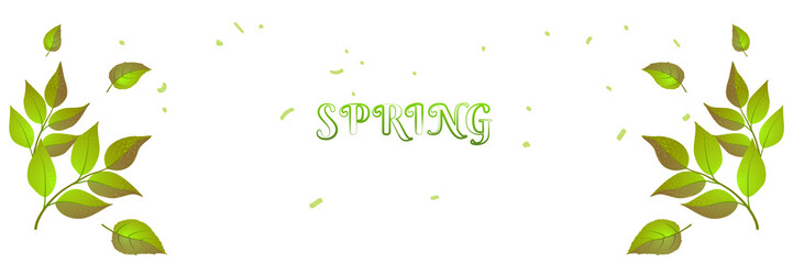 Spring header green brunches and text for web backdrop. Summer color banner, Nature cover background. Fresh Horizontal poster template. Eco design vector isolated illustration. Springtime concept