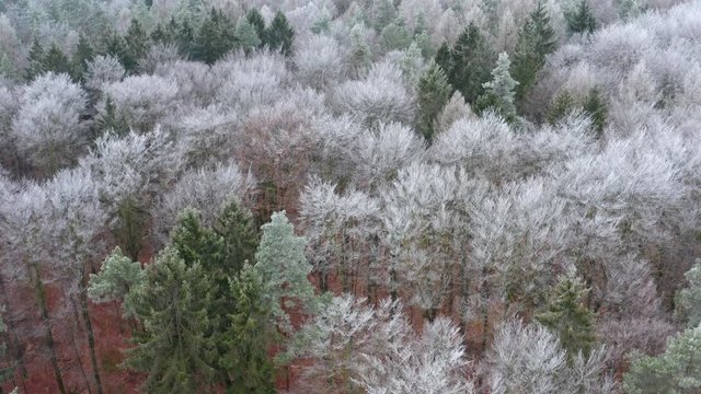 Aerial view of forest with hoar frost in winter, Steigerwald, Germany