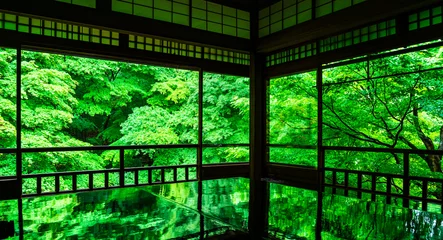 Tuinposter 春の京都　瑠璃光院の青もみじ © oben901