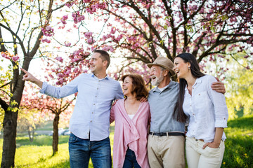 Fototapeta premium Young couple with senior parents walking outside in spring nature.