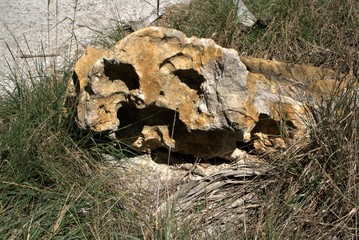 old Rock in the Beach