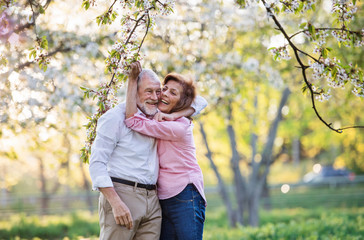 Fototapeta premium Beautiful senior couple in love outside in spring nature, hugging.