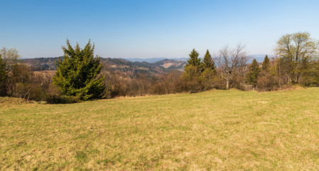 springtime mountain scenery with meadows, hills with forest partly devastated by timber harvesting and clear sky above