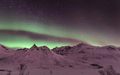 Aurora boreal en la Laponia noruega, en el círculo polar ártico. Sommaroy, Nordland en Noruega © gurb101088
