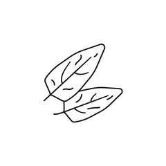 Spinach leaves vector line icon