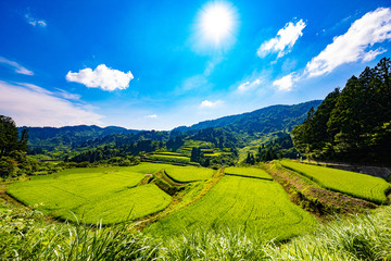 新潟の棚田