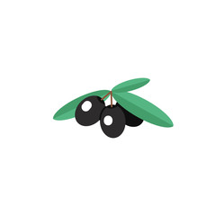 Olive branch with leaves. Mediterranean food element. Olive oil icon. Concept of italian food, mediterranean cuisine, keto diet, olive oil. Vector illustration in flat design