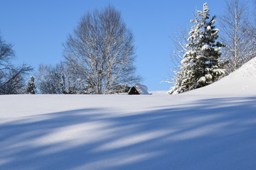 the snow-covered countryside, winter landscape