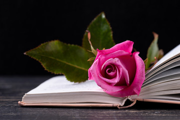 rose on a book