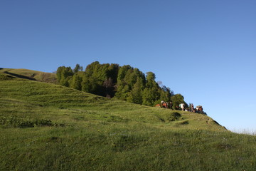 Obraz premium landscape in the mountains