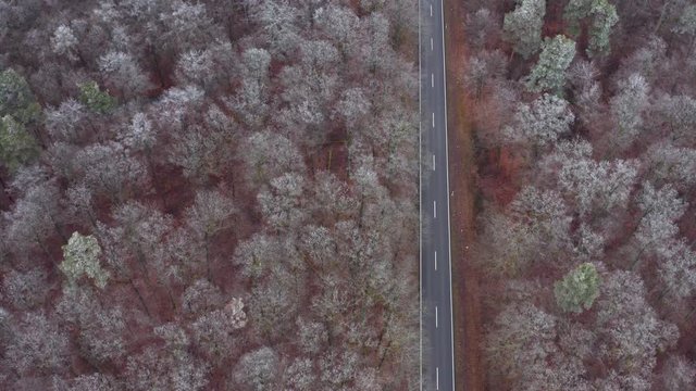 Aerial view of road through forest in winter, Steigerwald, Germany