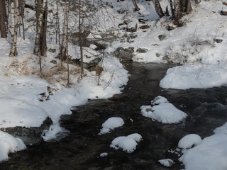 River in winter