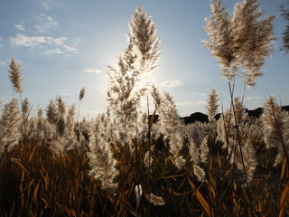 Fototapeta premium At sunset