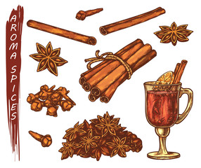 Set of colorful sketches for aroma spices