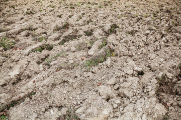 Rural agricultural landscape of the ploughed field