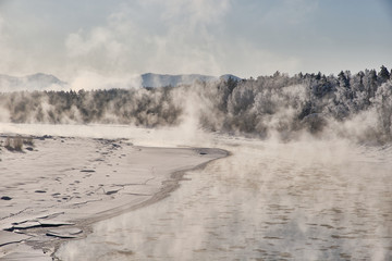 Winter landscape. Not freezing river with snowy trees along the banks. Steam rises from the winter mountain river against the blue sky. Morning back light. Russia. Altai Republic.