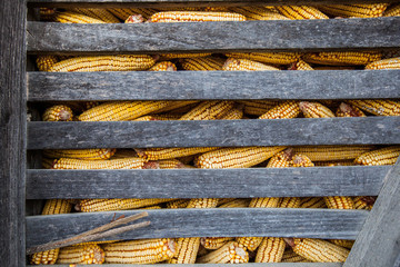 Rustic wooden corn barn