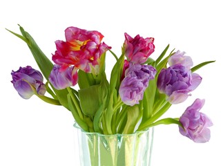 Fototapeta na wymiar posy of multicolor tulips in glass vase close up