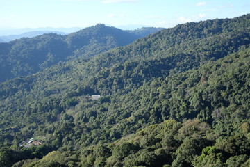 Green color from the beautiful mountain