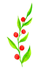 erries. Grasses and plants of forests and meadows. Watercolor illustration drawn by hand.