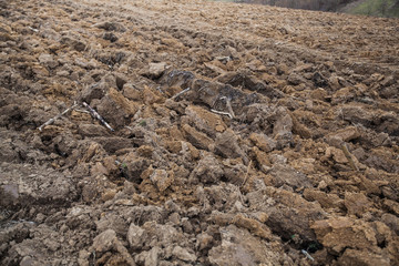 Rural agricultural landscape of the ploughed field