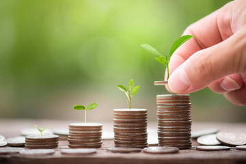 Hand putting coin stack growing graph with green bokeh background,investment concept.tree growing...