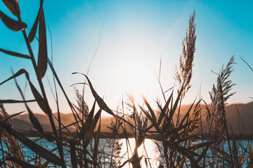 Sun flare on Nora's beach with grass, sea, mountainsand sky