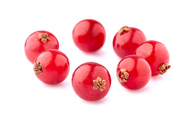 Red currant berries on White Background