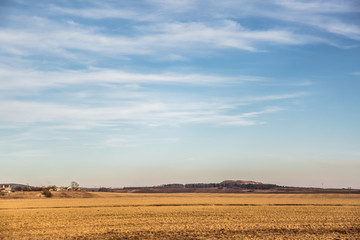a field flooded with sunlight on which they harvested and plant a new year