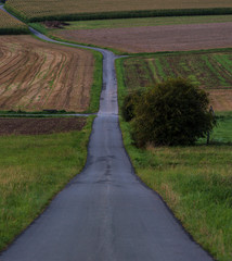 Weg durch Felder an einem herbstlichen Tag