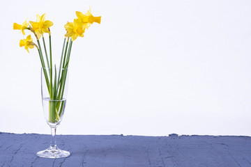 bouquet of young daffodils stand in a vase on a table