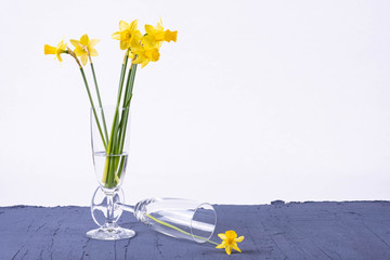 bouquet of spring daffodils stand in a vase on a table