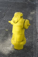 Yellow fire hydrant in Hawaii
