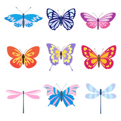 Obraz na płótnie Canvas Butterfly color 1
