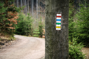 the detail od traditional colorful Czech tourist marking on hiking trails