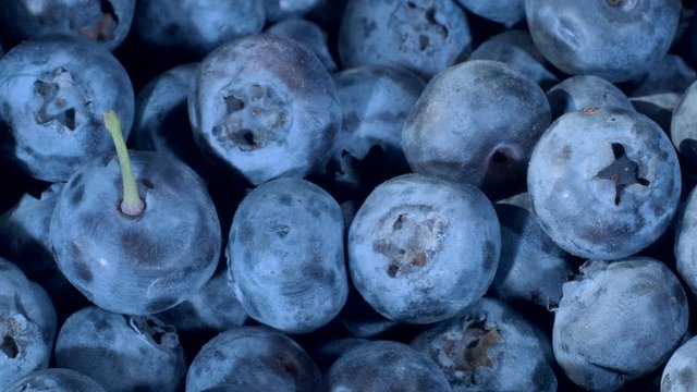  Detail of Blueberries. Macro Rotate of blueberries. Close-up, Camera moves backwards. Bog bilberry, bog blueberry, northern bilberry or western blueberry (Vaccinium uliginosum)