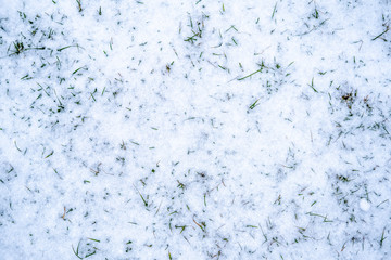 Young green grass makes its way through a thin layer of thawed spring snow in a suburban area.