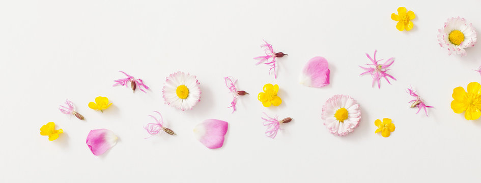 summer flowers on white background