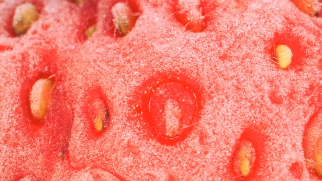 Extreme closeup of fresh frozen strawberries, Rotation 360 degrees, Close-up