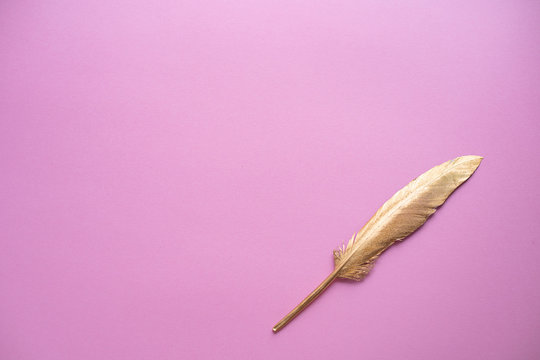 Gold Feather On A Pink Background