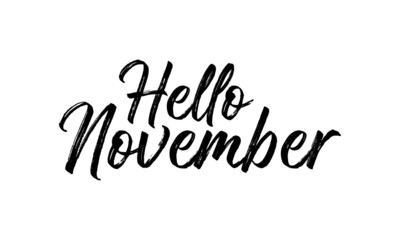 Fototapeta na wymiar Hello November Inspirational lettering black color, isolated on white background. Vector illustration for posters, banners, flyers, stickers, cards and more. Vector illustration. EPS10.