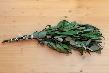 Eucalyptus bath broom, eucalyptus whisk