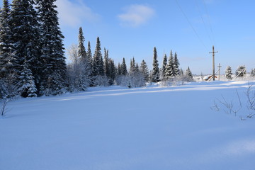snowy winter in the countryside