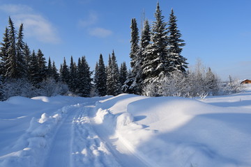 Fototapeta na wymiar winter mountain landscape with trees and snow