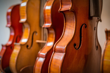Close-up of violins hanging in a violin repair shop © Jon