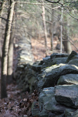 Leaves piled up next to an old stone wall in Connecticut