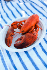 Lobster